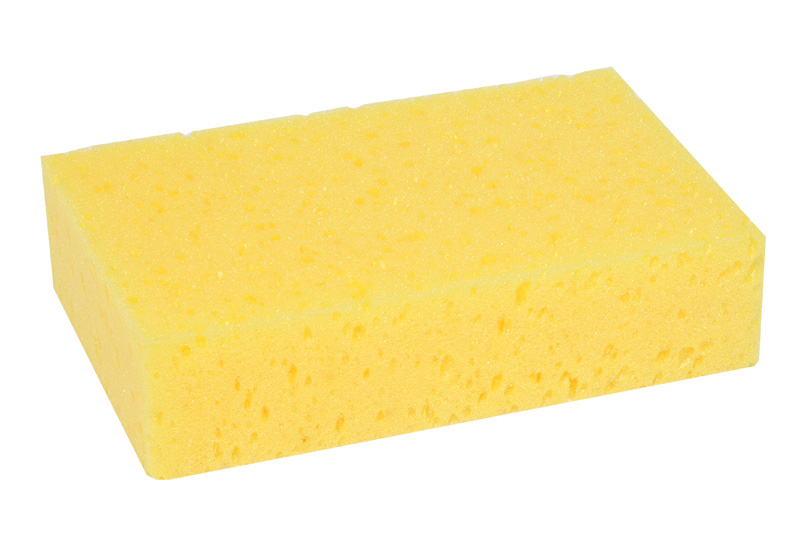 Softy All Purpose Sponge