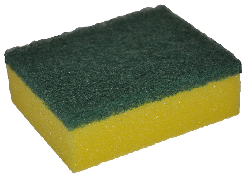 Scourer Sponge Single Pack