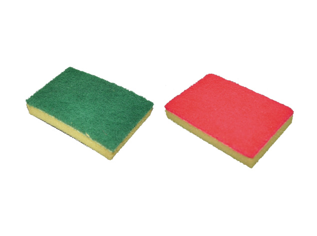 Glomesh Sponge Scourer
