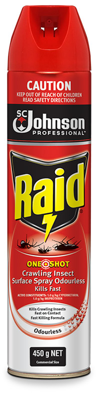 Raid One Shot Surface Odourless 450g