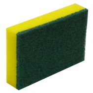 scourer-sponge-nbss