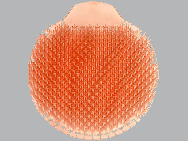 Slant 6 Urinal Screen