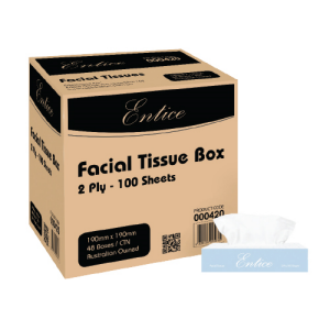 Entice Facial Tissue 2 Ply 100/PK 48/CTN
