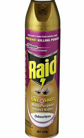 Raid One Shot Insect Killer Odourless 320g