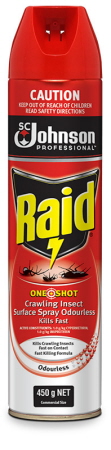 Raid Crawling Insect Killer One Shot Aerosol 450g