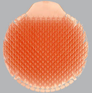 Slant 6 Urinal Screen